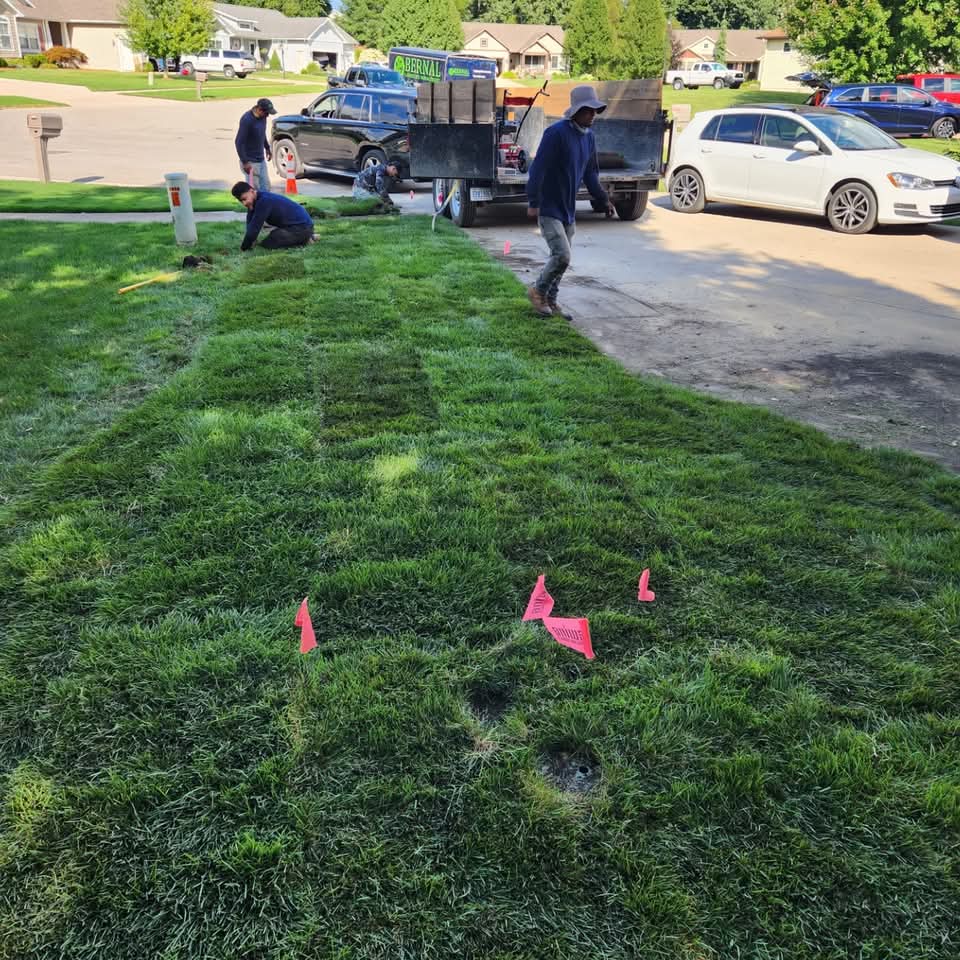 Bernal Landscape crew installing sod on a front lawn with pink utility flags and company work truck on the street