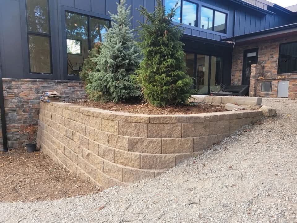 Tree and shrub care by Bernal Landscape Management