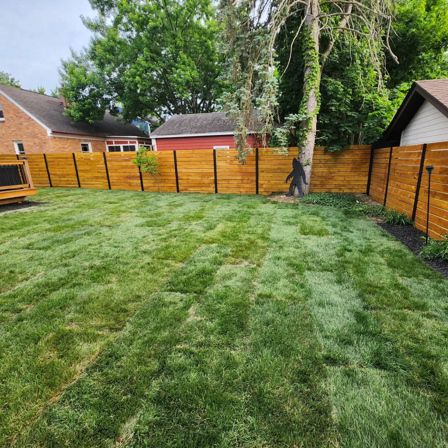 Backyard with newly laid sod and a new wood fence beside a mature shade tree