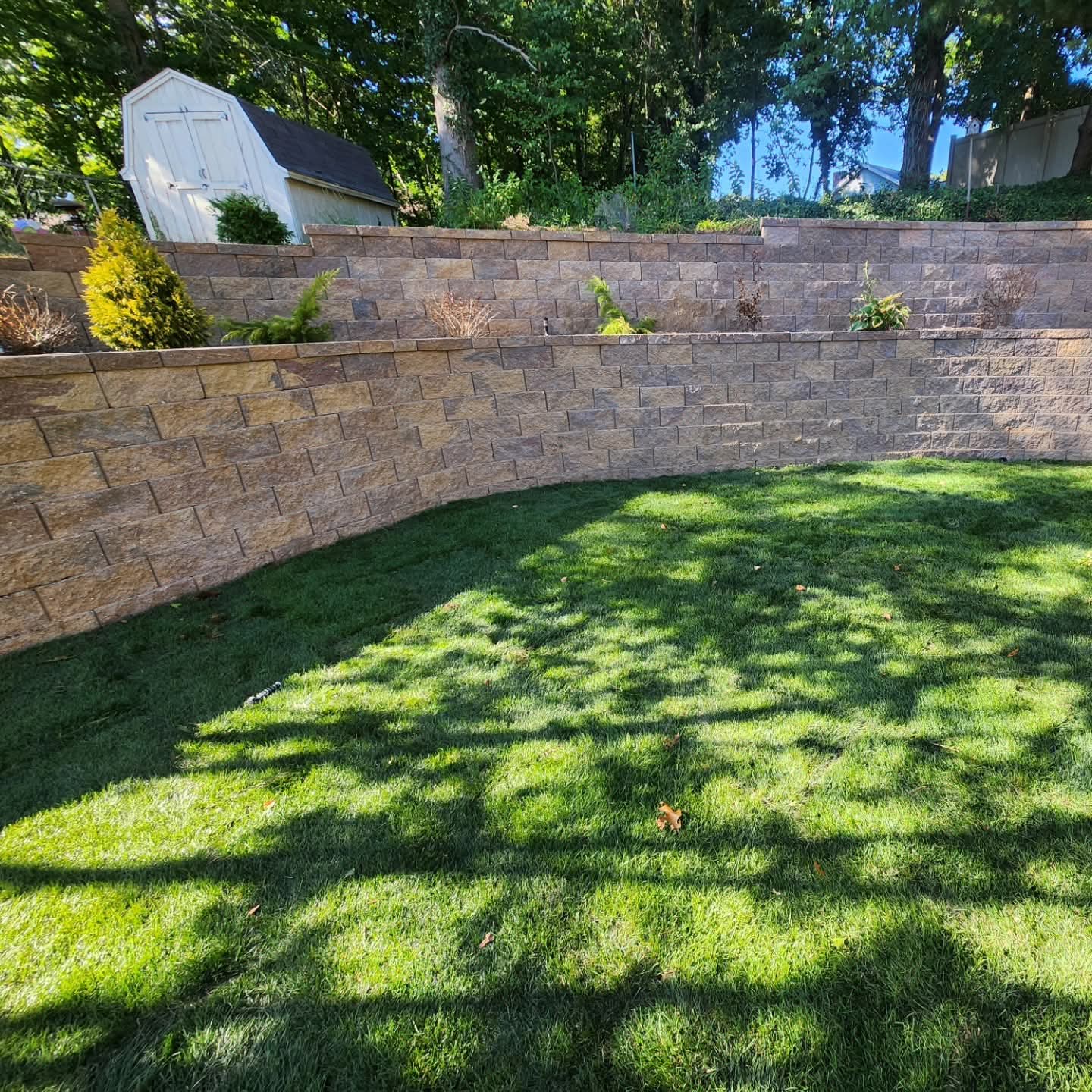 Tall curved brown block retaining wall with plantings on the upper tier, green lawn below, and a white shed above
